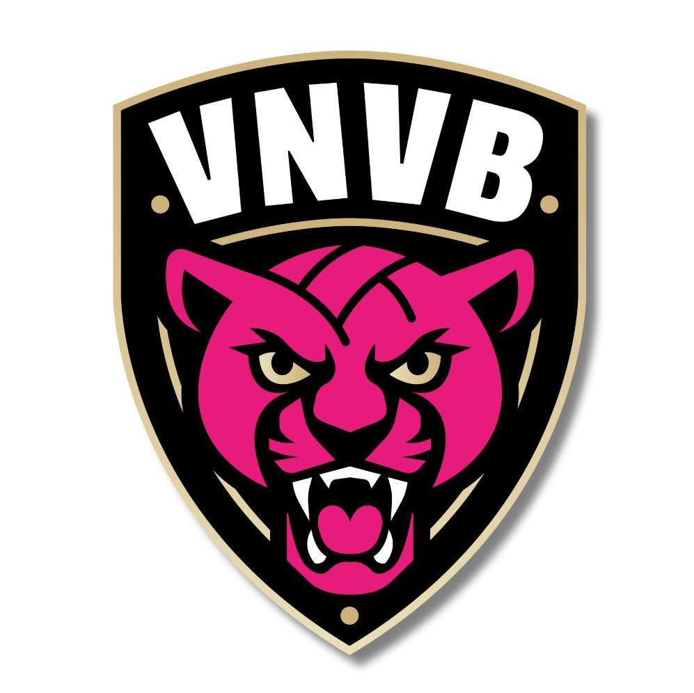 Réduisez vos factures d’énergie avec Flash Energie à Metz pour jusqu'à 30%. Partenariat avec le Club Vandoeuvre Nancy Volley Ball